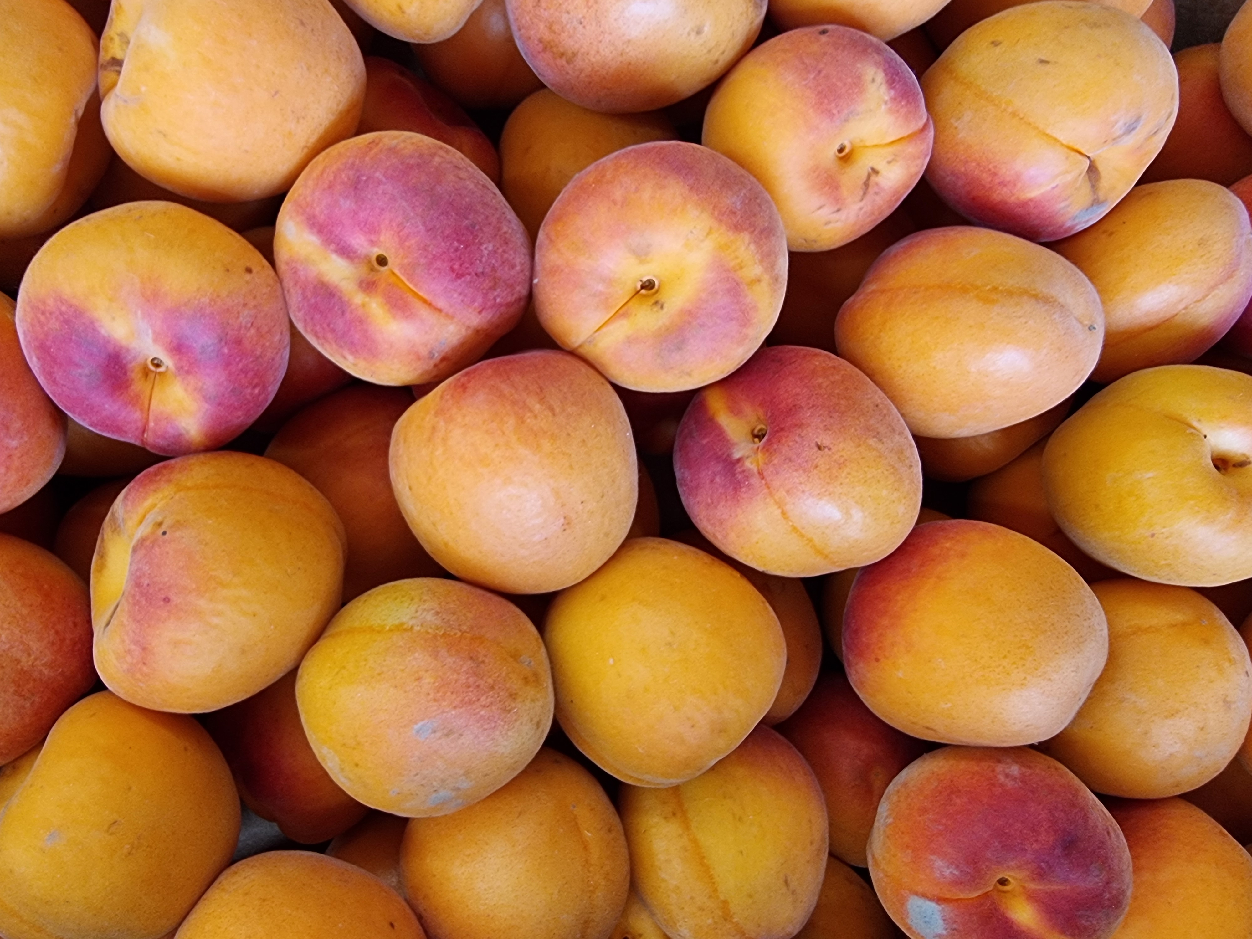 Carousel Image 3 (Internationale Delikatessen)