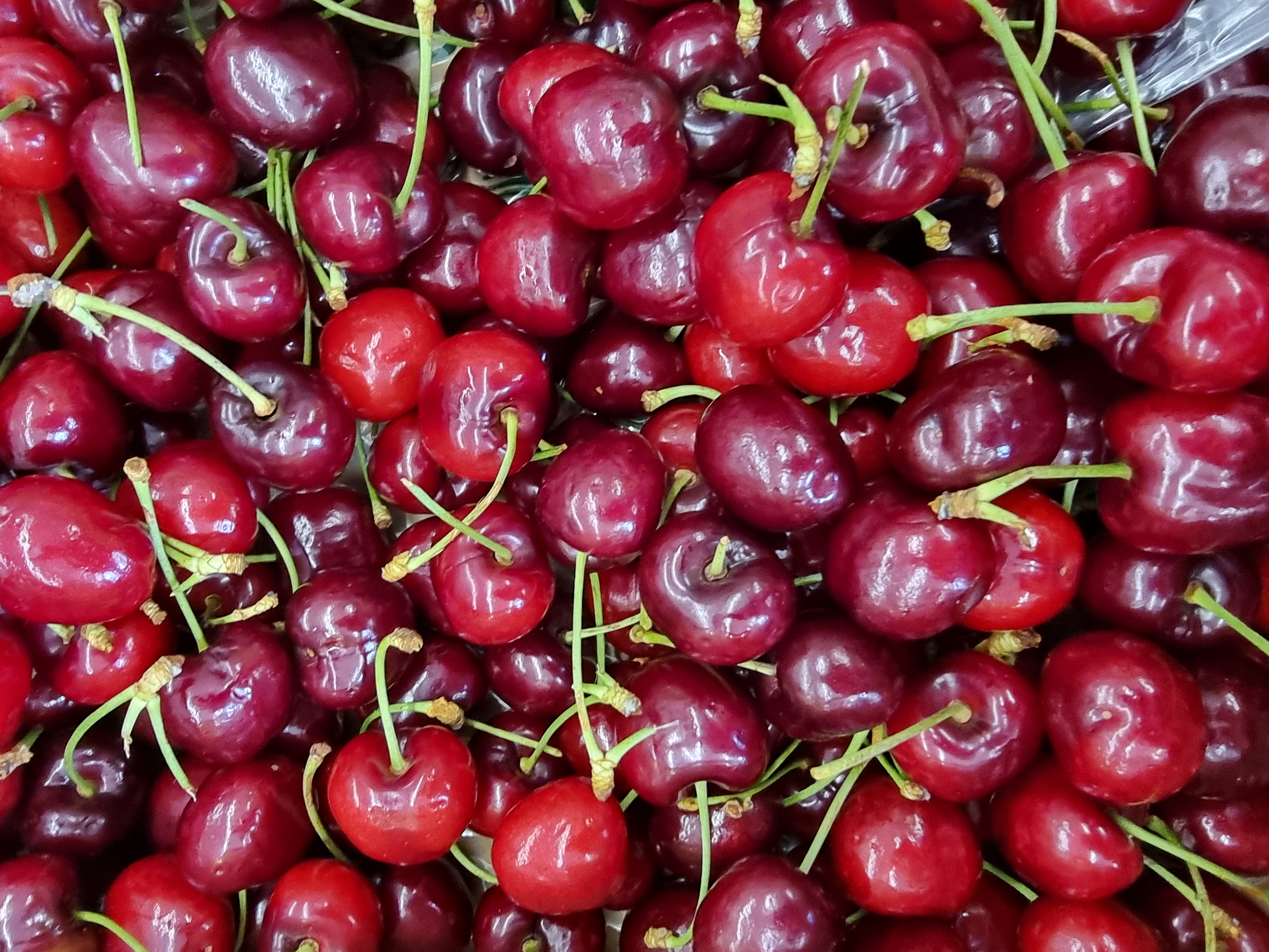 Carousel Image 2 (Frische Produkte)