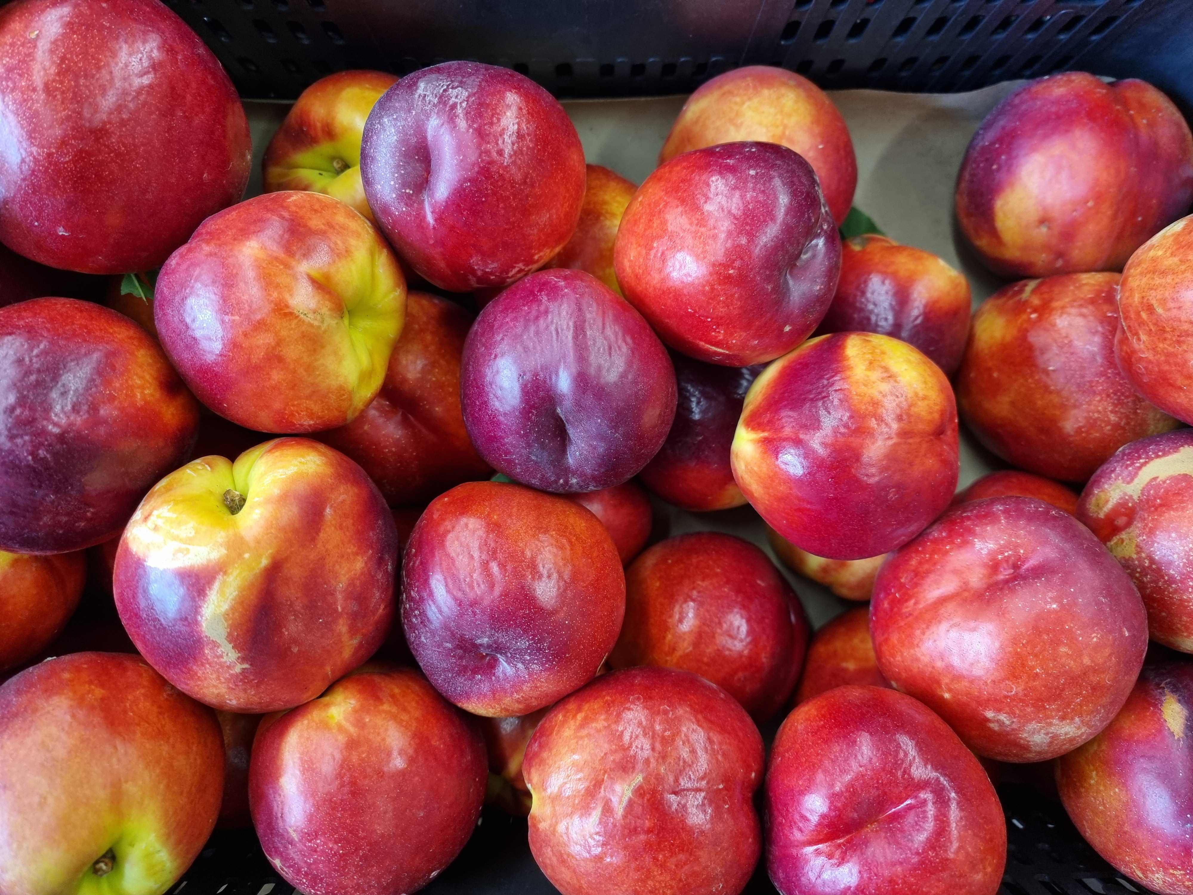 Carousel Image 1 (Feinste Gewürze)