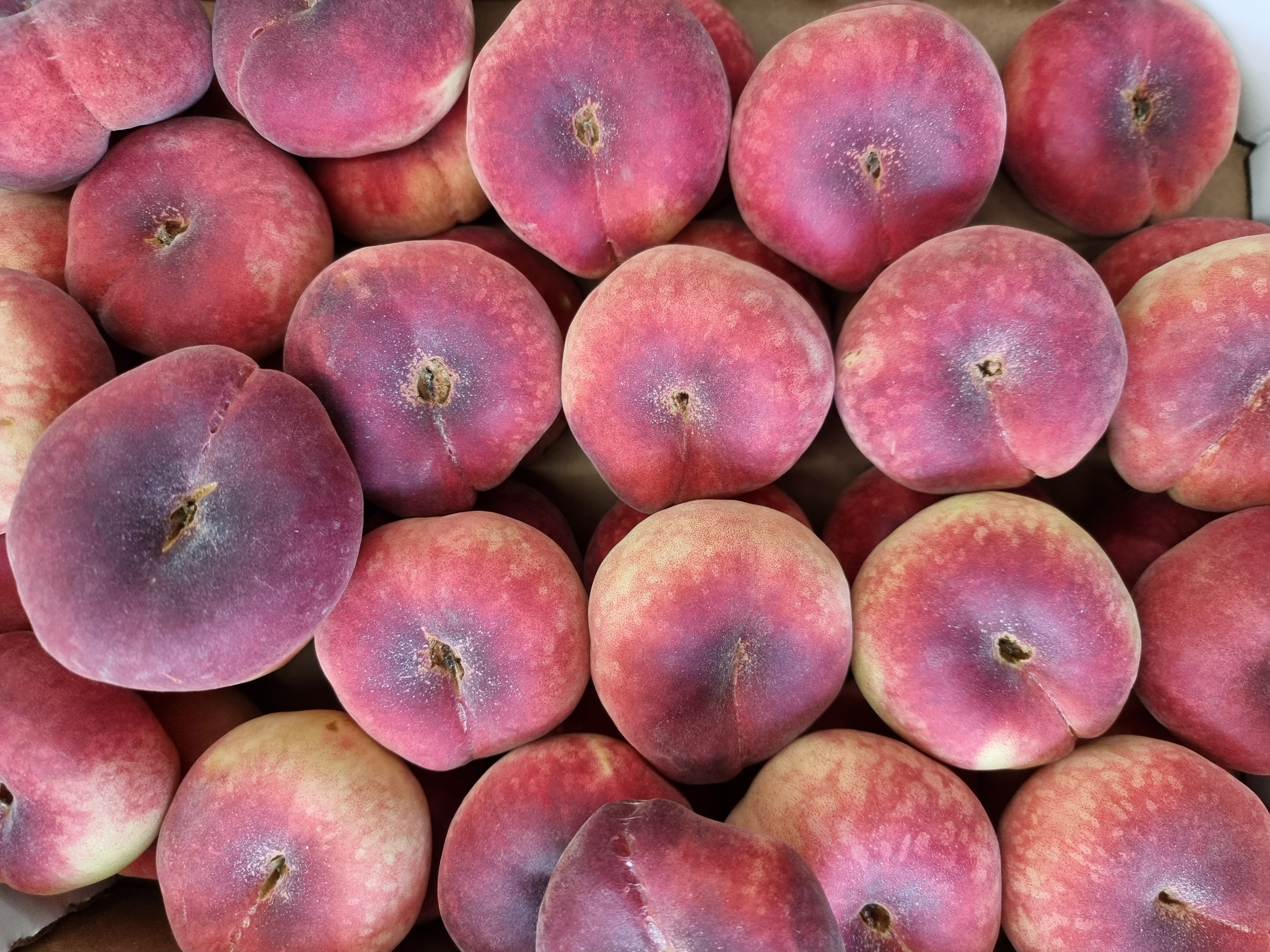 Carousel Image 4 (Handwerkliche Backwaren)