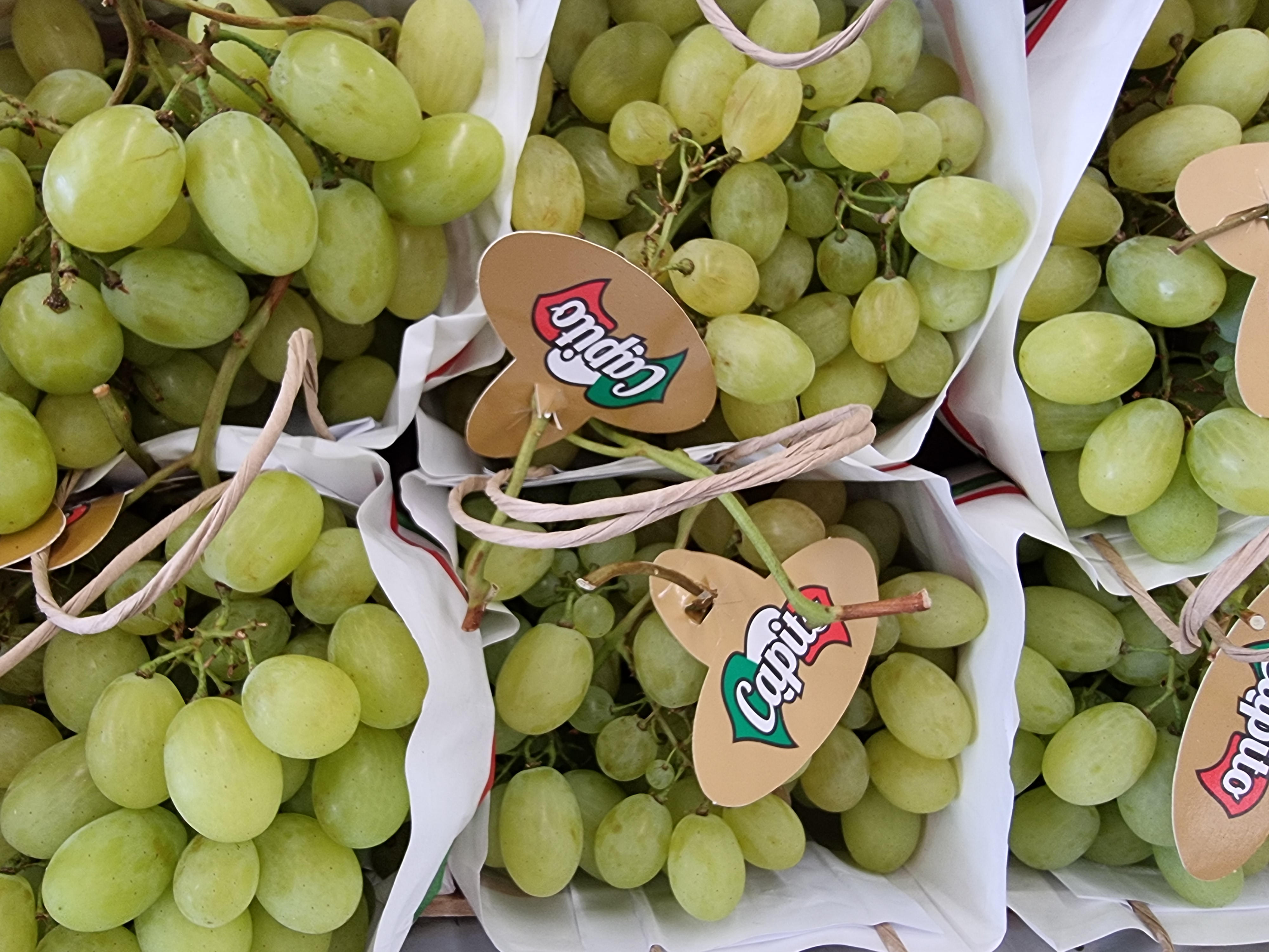 Carousel Image 5 (Herzlich Willkommen)